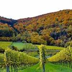 Haus-donau In Der Wachau *