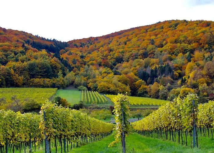 Haus-donau In Der Wachau *