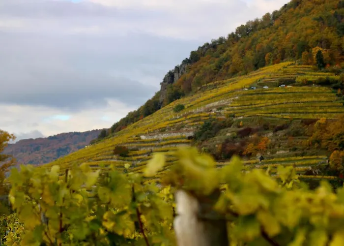 Apartment Haus-donau In Der Wachau Aggsbach